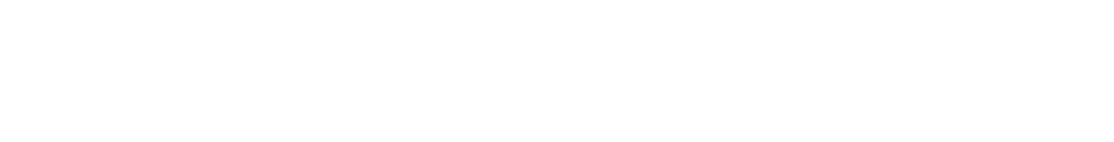 Innovation Business Institute