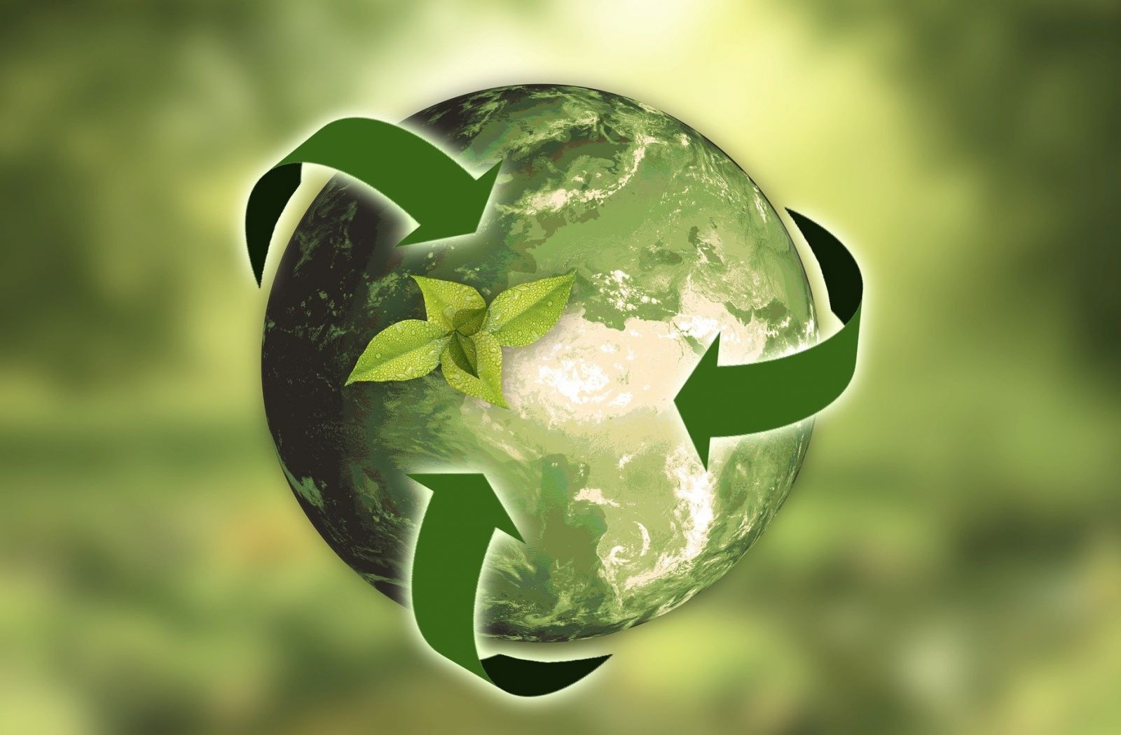 Développement Durable